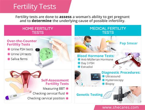 Fertility Tests to Help Conception: What You Need to Know.